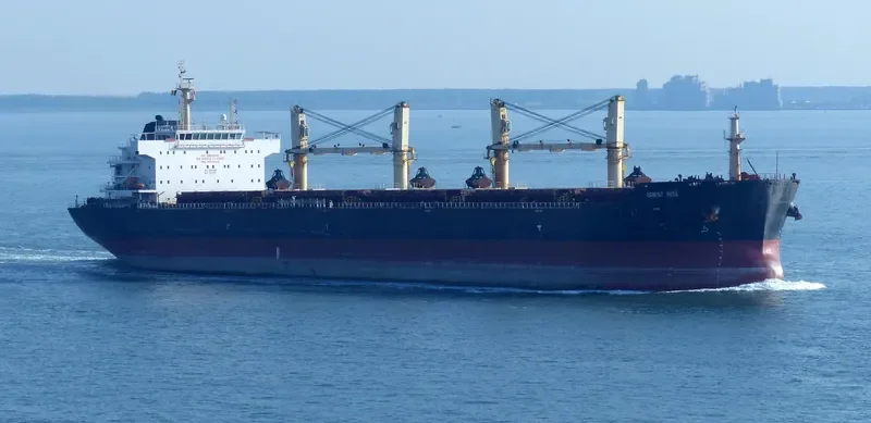 KARPATHOS DAWN Bulk Carrier IMO 9427342 photo 4
