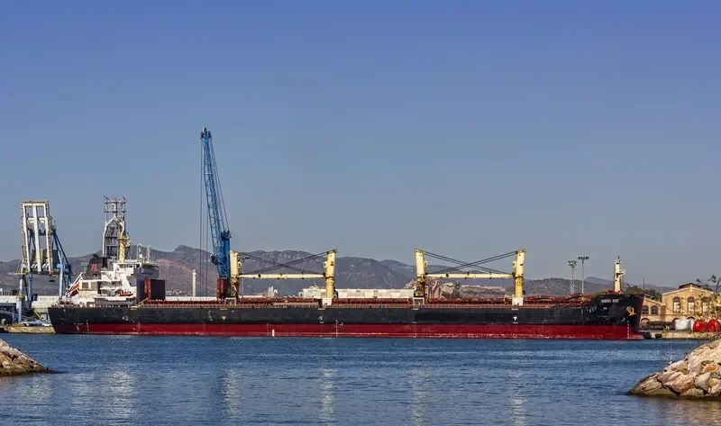 KARPATHOS DAWN Bulk Carrier IMO 9427342 photo 5
