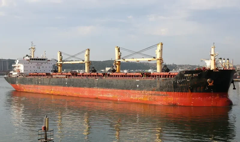 KARPATHOS DAWN Bulk Carrier IMO 9427342 photo 7