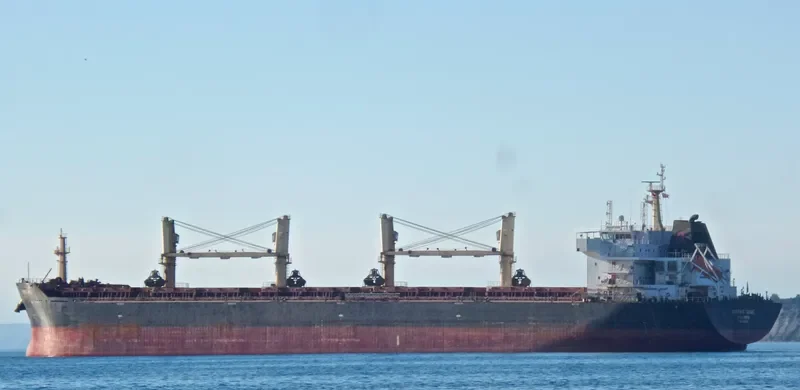 KARPATHOS DAWN Bulk Carrier IMO 9427342 photo 10