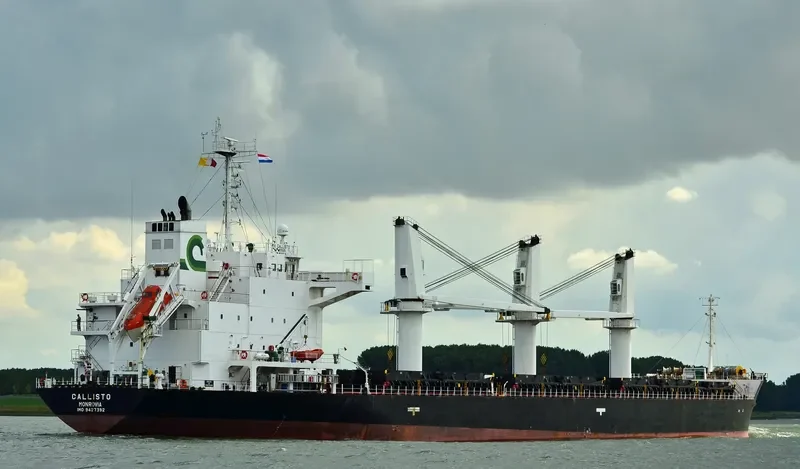 MALLARD S Bulk Carrier IMO 9427392