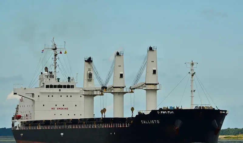 MALLARD S Bulk Carrier IMO 9427392 photo 2