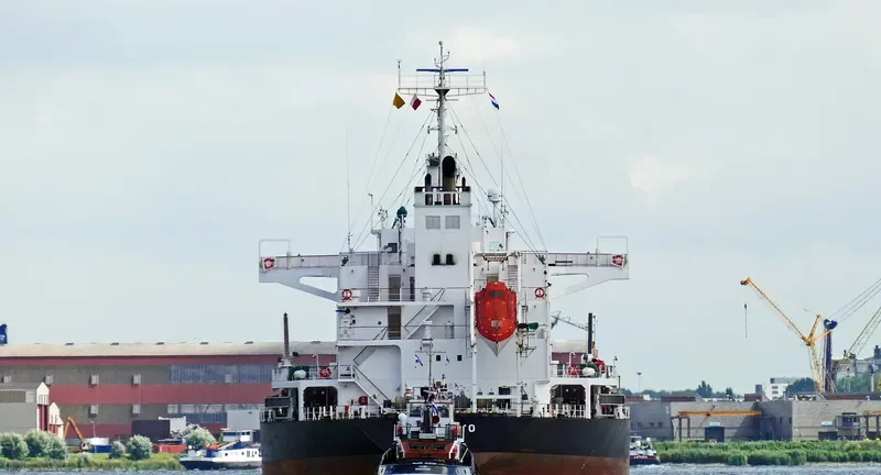MALLARD S Bulk Carrier IMO 9427392 photo 3