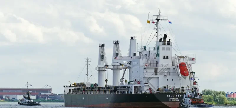 MALLARD S Bulk Carrier IMO 9427392 photo 4