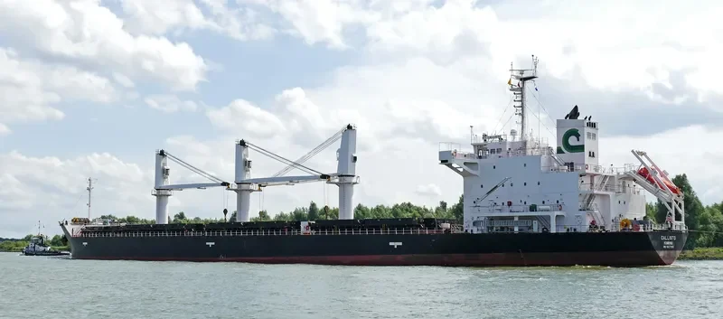 MALLARD S Bulk Carrier IMO 9427392 photo 5