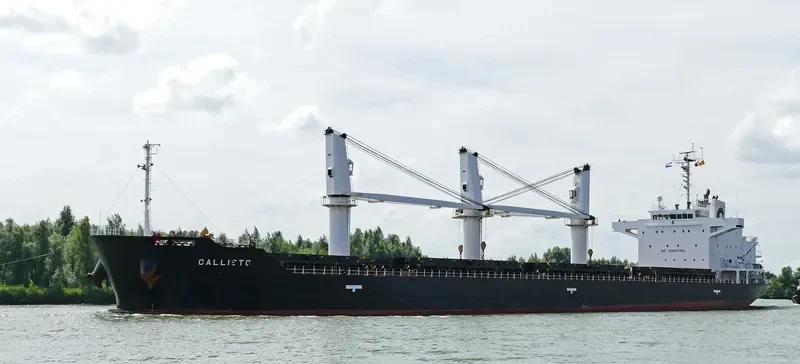 MALLARD S Bulk Carrier IMO 9427392 photo 6