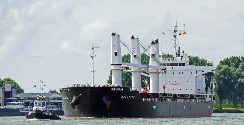 MALLARD S Bulk Carrier IMO 9427392 photo 7