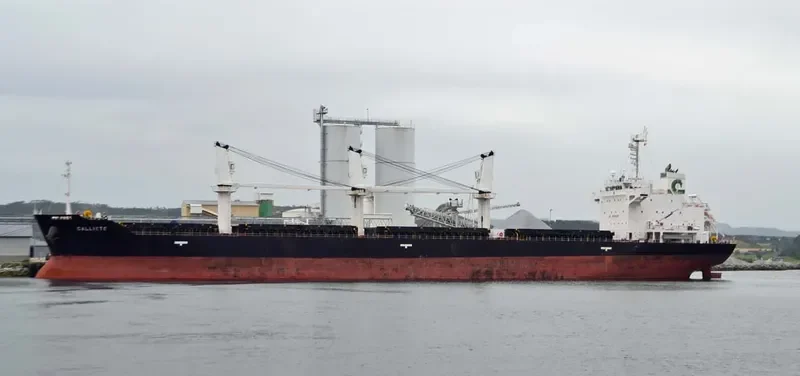 MALLARD S Bulk Carrier IMO 9427392 photo 8