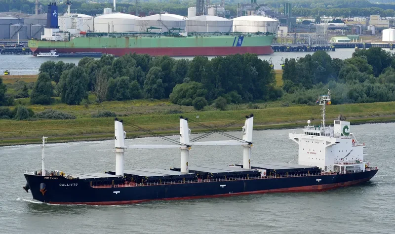MALLARD S Bulk Carrier IMO 9427392 photo 9