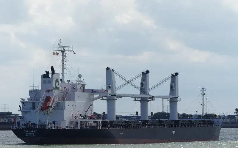 MALLARD S Bulk Carrier IMO 9427392 photo 10