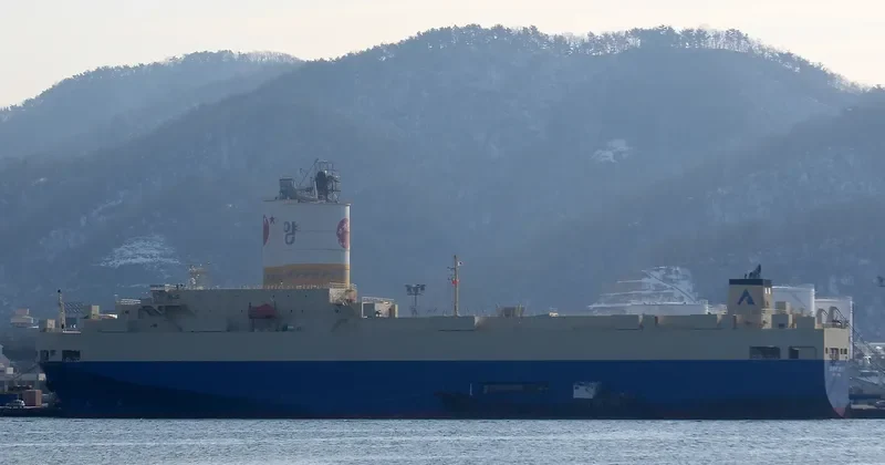 SPRING SKY General Cargo IMO 9427550 photo 8