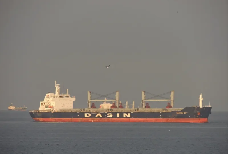 MANDARIN SKY Bulk Carrier IMO 9427902 photo 3
