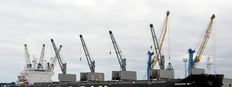 MANDARIN SKY Bulk Carrier IMO 9427902 photo 4