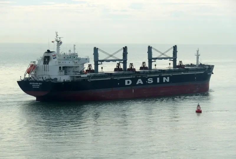 MANDARIN SKY Bulk Carrier IMO 9427902 photo 6