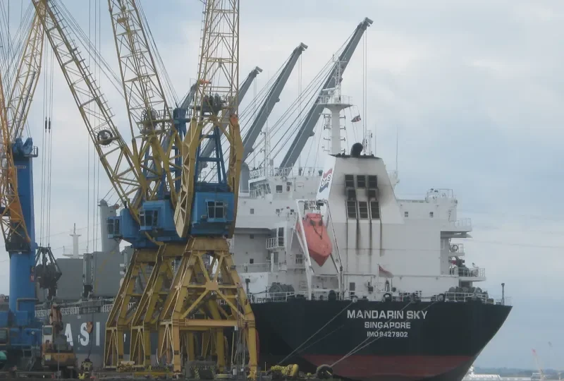 MANDARIN SKY Bulk Carrier IMO 9427902 photo 10