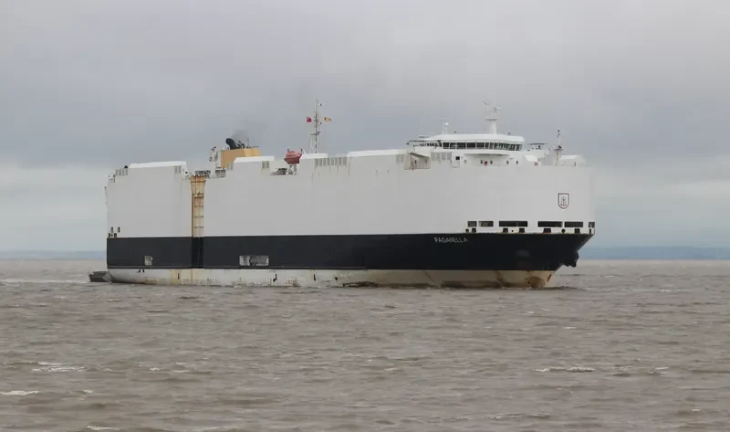 PAGANELLA General Cargo IMO 9427926 photo 5