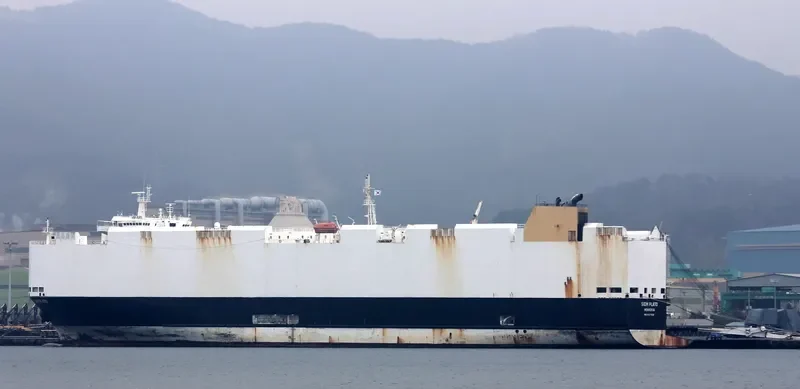 SIEM PLATO General Cargo IMO 9427938 photo 10