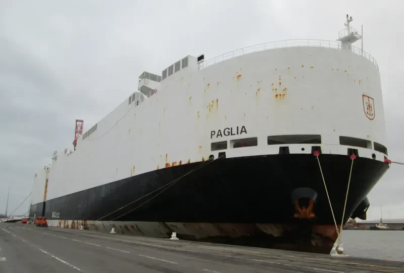 PAGLIA General Cargo IMO 9427940 photo 3