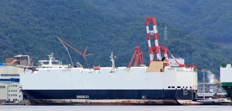 PAGLIA General Cargo IMO 9427940 photo 7