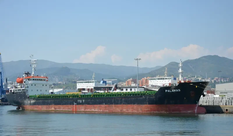 PARSHVANATH Bulk Carrier IMO 9428152