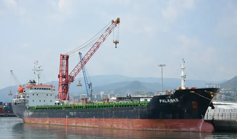 PARSHVANATH Bulk Carrier IMO 9428152 photo 2