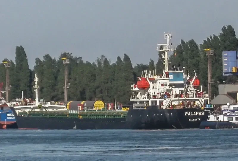 PARSHVANATH Bulk Carrier IMO 9428152 photo 3