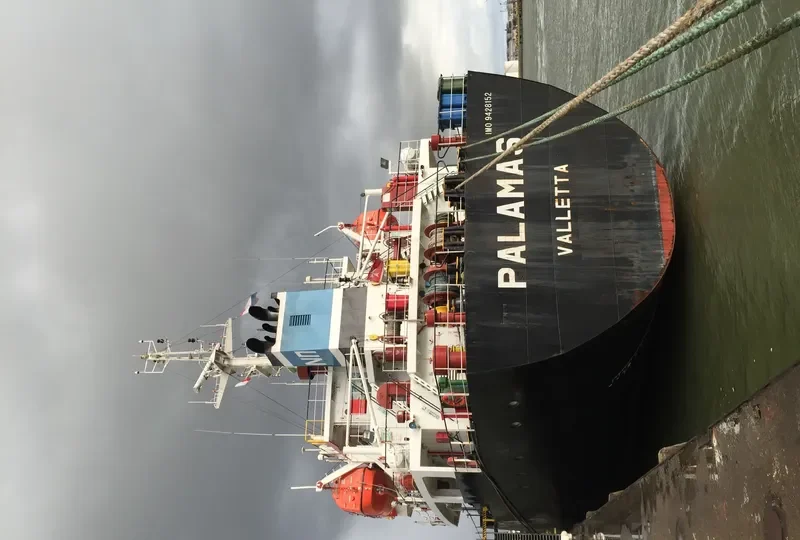PARSHVANATH Bulk Carrier IMO 9428152 photo 4