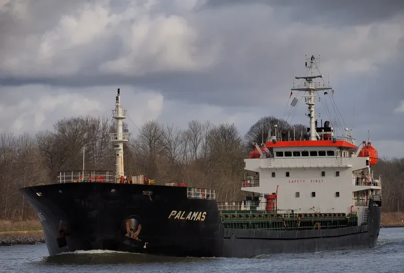 PARSHVANATH Bulk Carrier IMO 9428152 photo 6