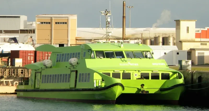 GARCA BRANCA Passenger Ship IMO 9428243 photo 6