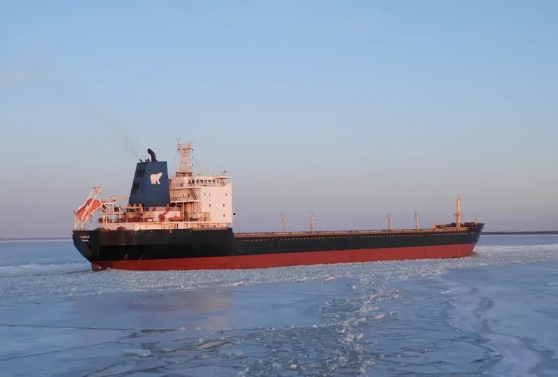 KOHL I Bulk Carrier IMO 9428499 photo 4