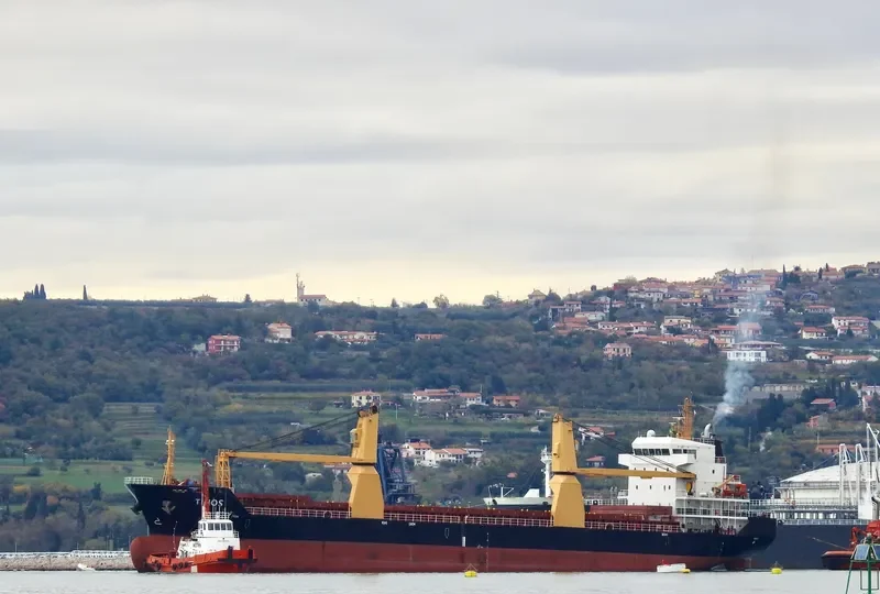 TEMA General Cargo IMO 9428786