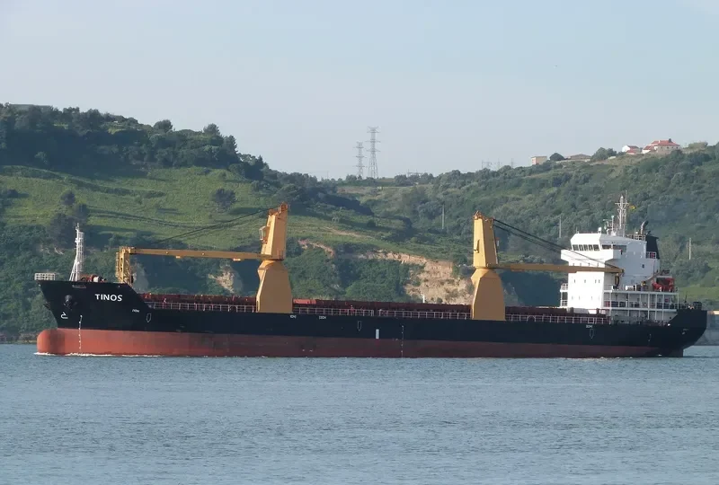 TEMA General Cargo IMO 9428786 photo 8