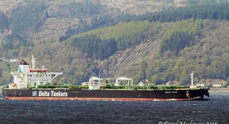 DELTA TOLMI Tanker IMO 9429027 photo 8