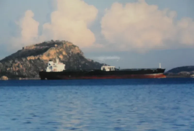 DELTA TOLMI Tanker IMO 9429027 photo 9