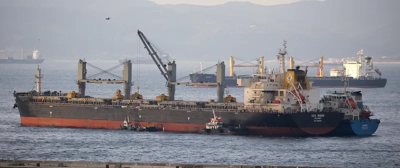 ROSLYN Bulk Carrier IMO 9429053 photo 8