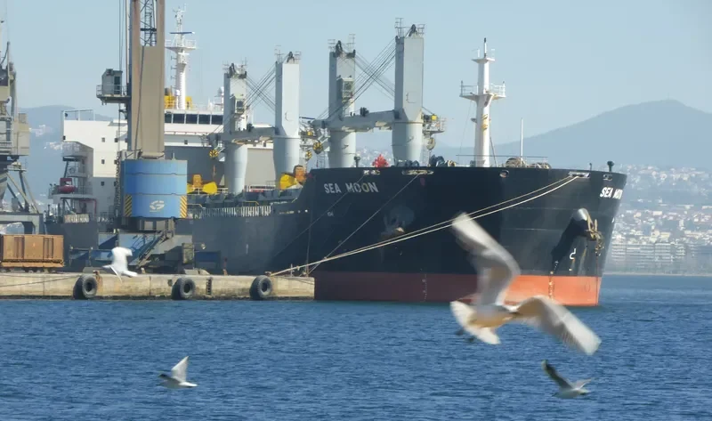 ROSLYN Bulk Carrier IMO 9429053 photo 10