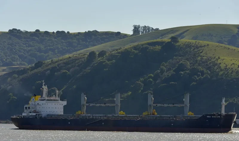 SANIA Bulk Carrier IMO 9429065 photo 6