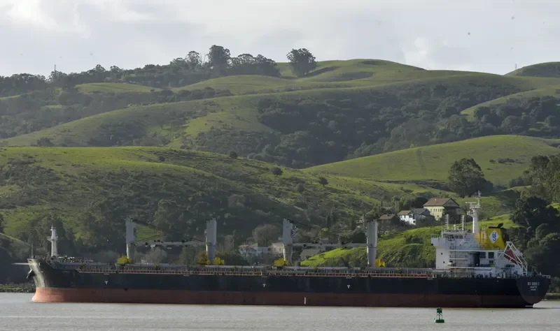 SANIA Bulk Carrier IMO 9429065 photo 7