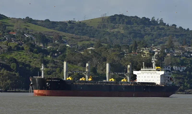 SANIA Bulk Carrier IMO 9429065 photo 8