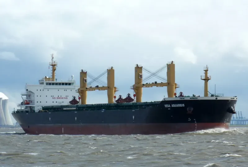 VEGA AQUARIUS Bulk Carrier IMO 9429170 photo 8