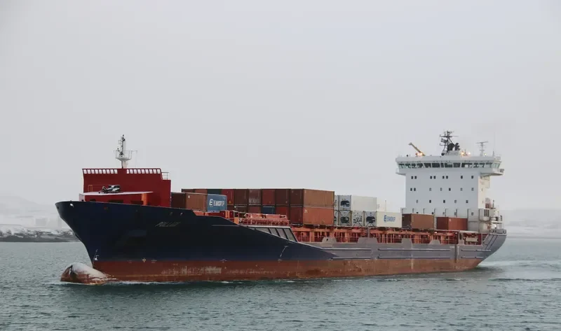 ELBSUMMER Container Ship IMO 9429194