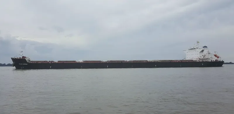 IOLCOS HARMONY Bulk Carrier IMO 9429431 photo 8