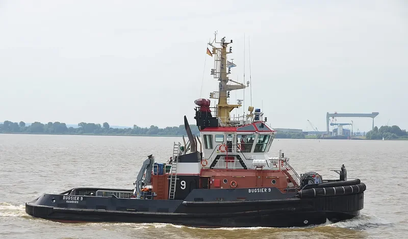 BUGSIER 9 General Cargo IMO 9429558 photo 9