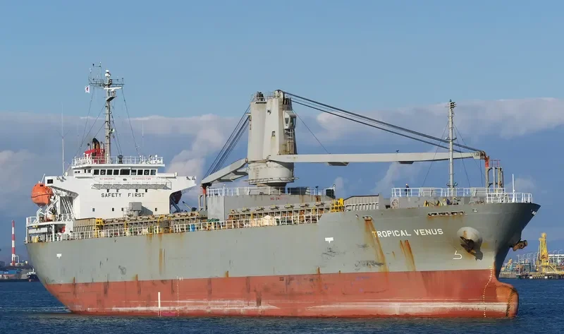 TROPICAL VENUS General Cargo IMO 9430014 photo 2