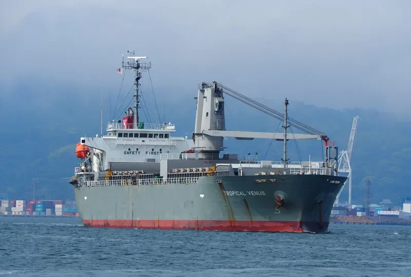 TROPICAL VENUS General Cargo IMO 9430014 photo 4
