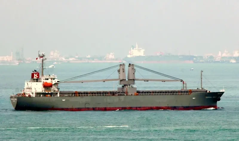 TROPICAL VENUS General Cargo IMO 9430014 photo 6