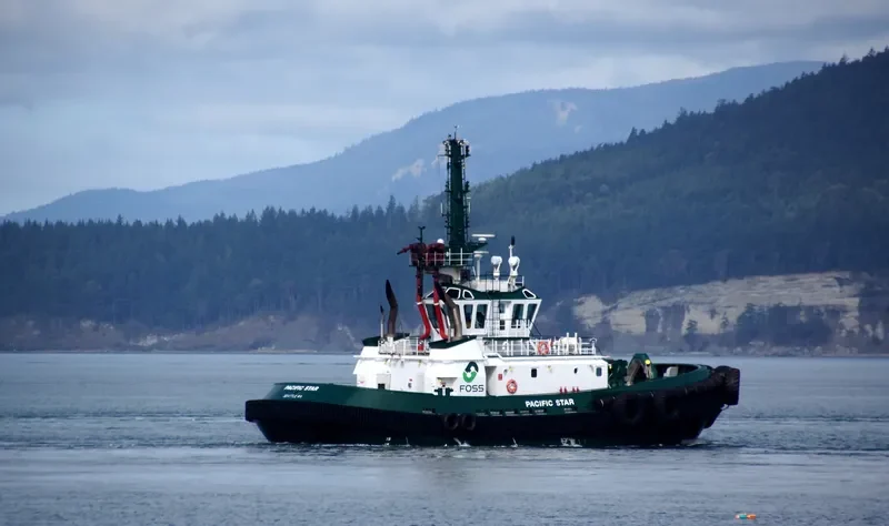 SIGNET COURAGEOUS General Cargo IMO 9430507 photo 8