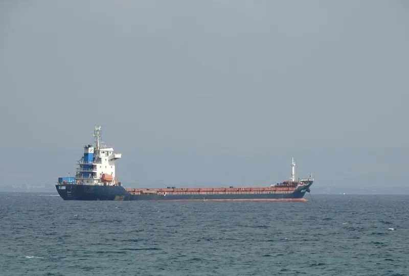 CELIK 1 General Cargo IMO 9430791 photo 6
