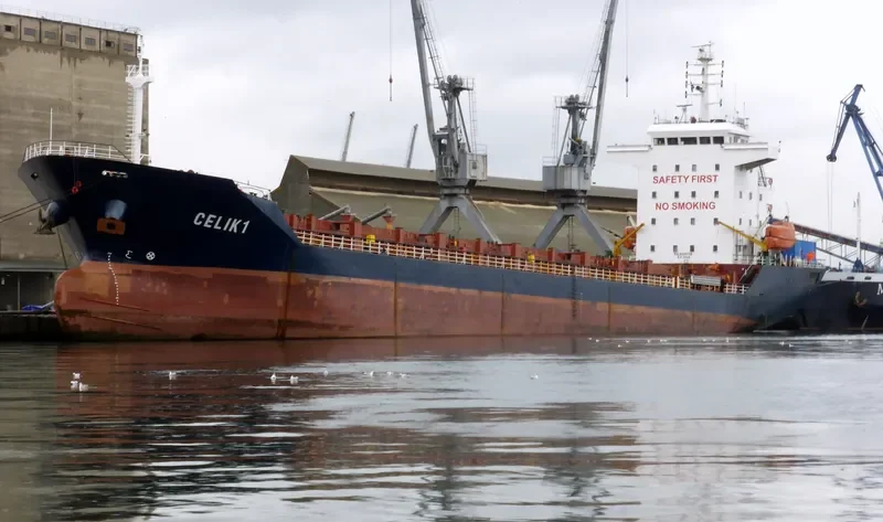 CELIK 1 General Cargo IMO 9430791 photo 7
