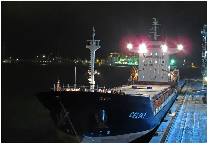 CELIK 1 General Cargo IMO 9430791 photo 8